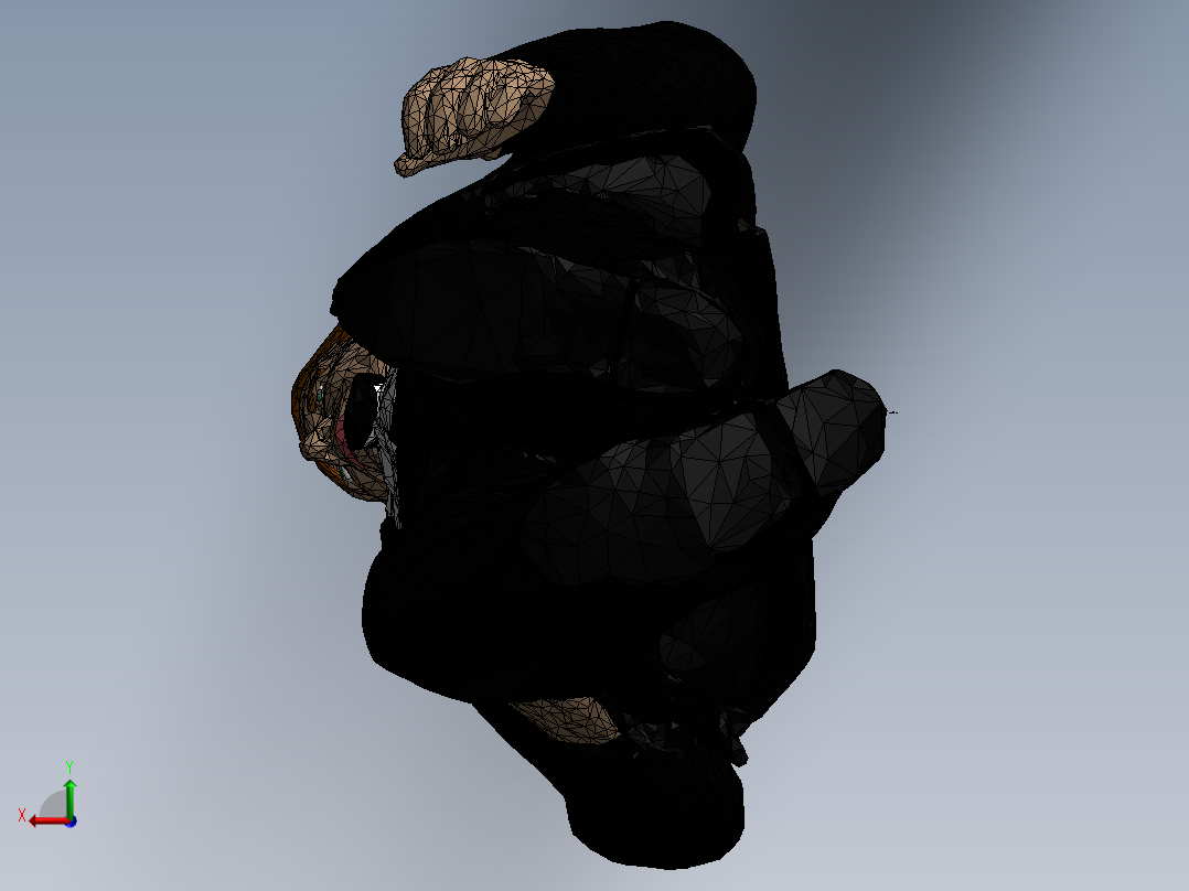 人体模型(27)后视图