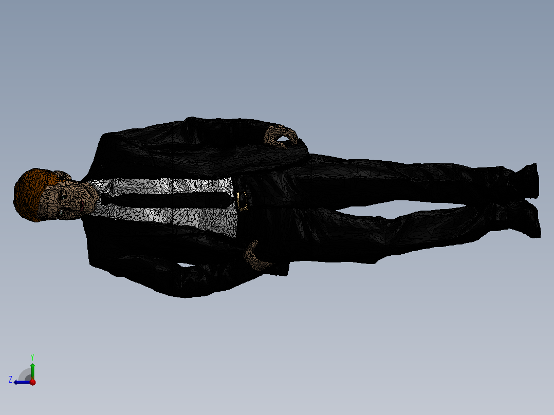 人体模型(27)右视图