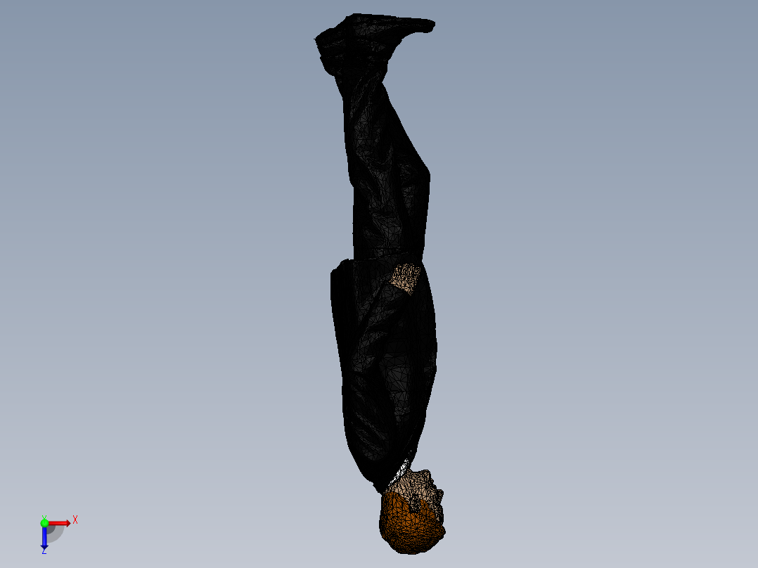 人体模型(27)俯视图