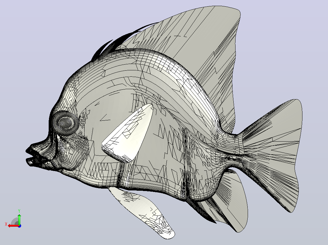海洋生物鱼类Rusty-Fish后视图