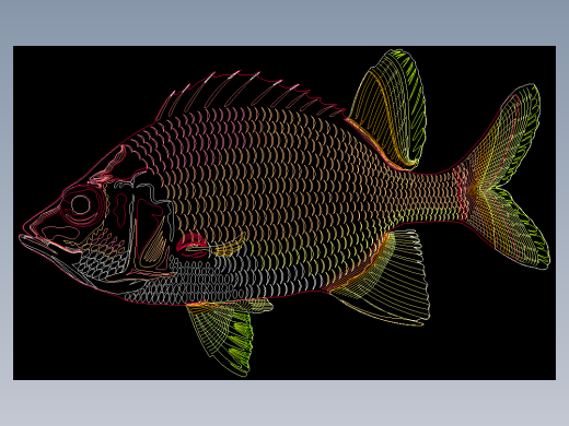 CAD制作的观赏鱼图块