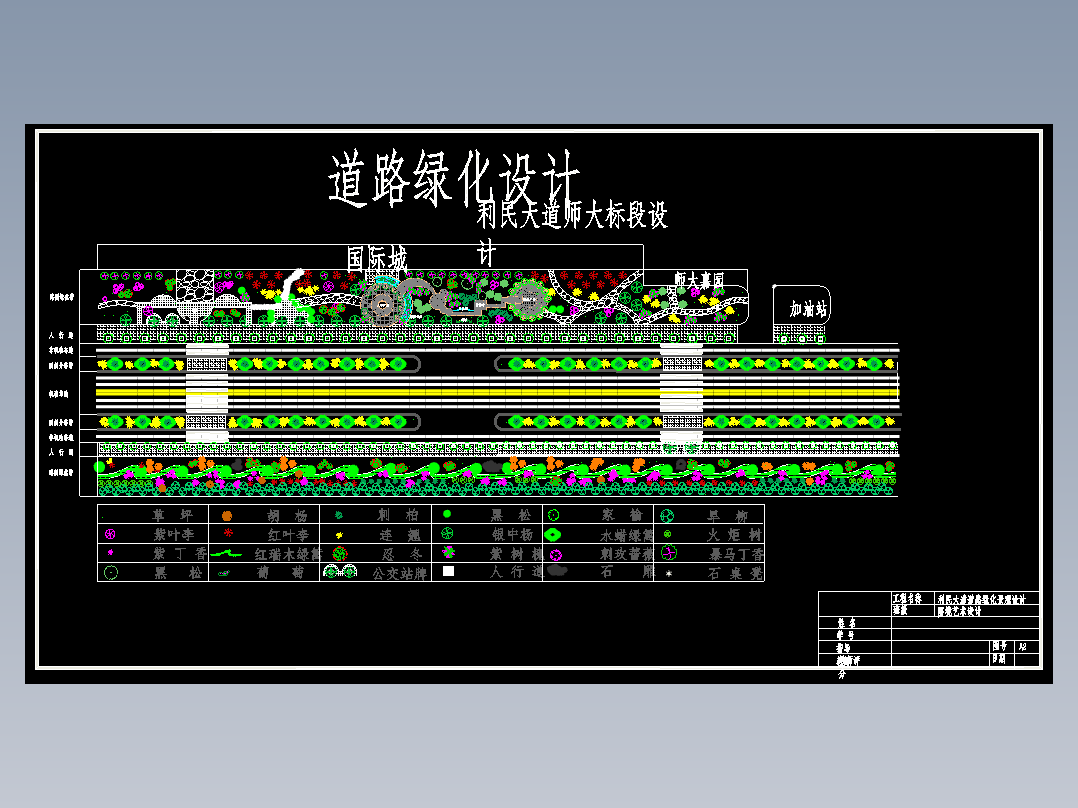 91、利民大道师大标段道路绿化设计1