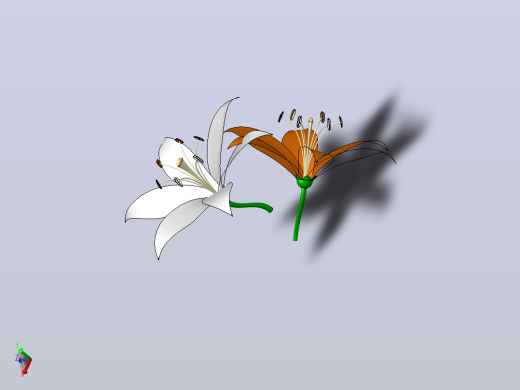 百合花
