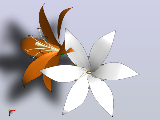 百合花俯视缩略图