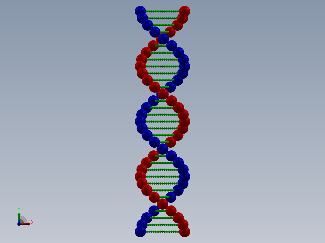 脱氧核糖核酸前视图