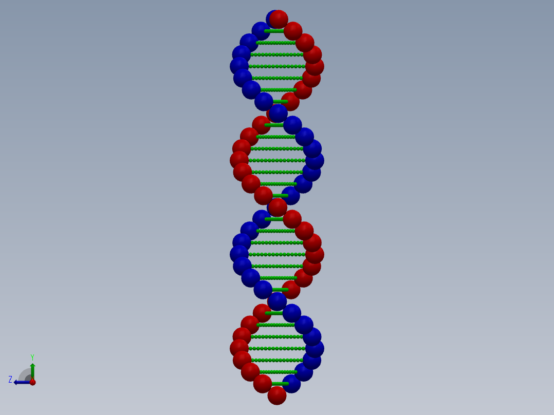脱氧核糖核酸右视图