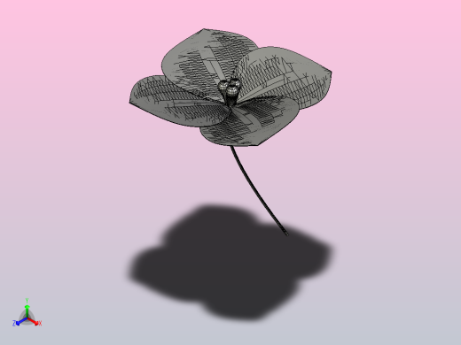 绣球花