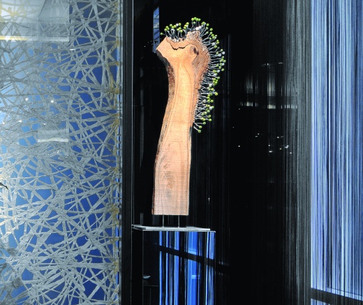 5、苏浙汇缩略图