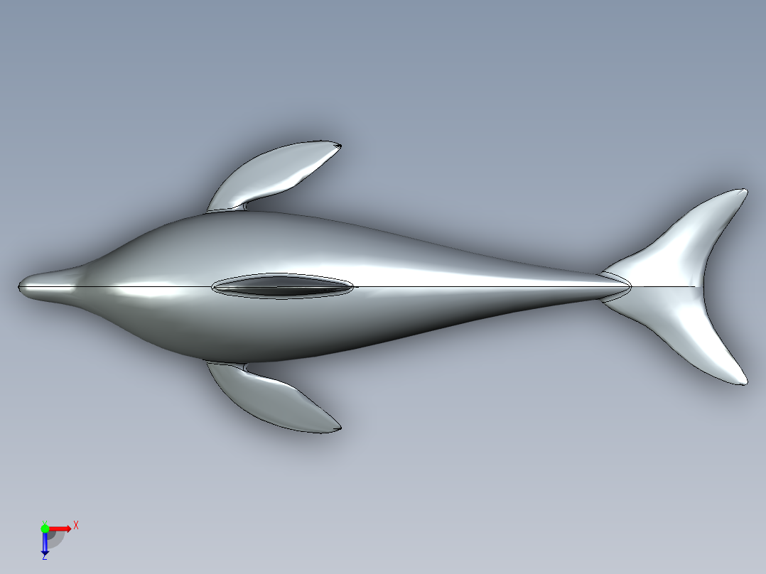 B3004581-海豚俯视图