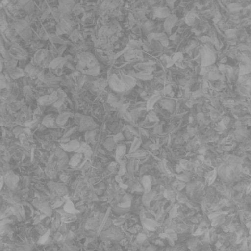 钣金压平卷弯机器sw18可编辑