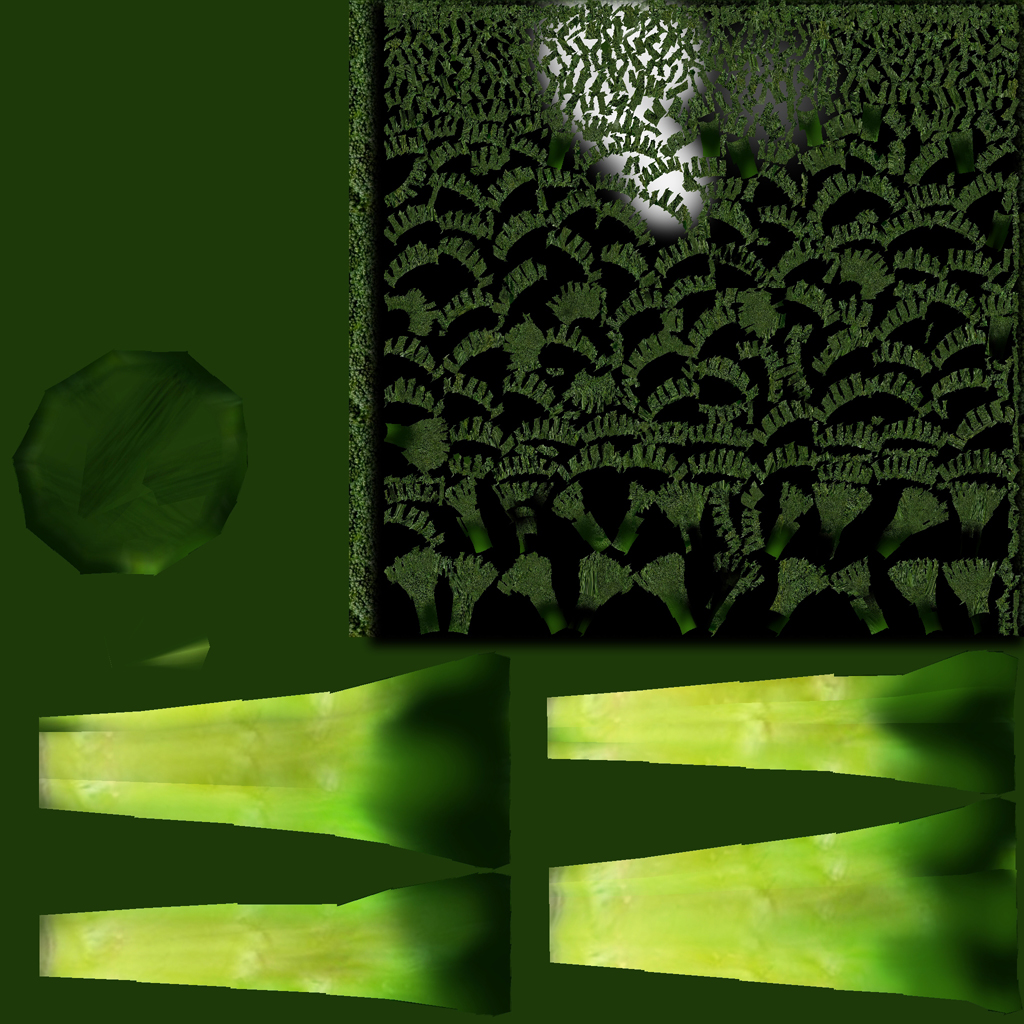 西兰花 3D模型