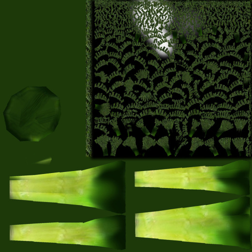 西兰花 3D模型缩略图