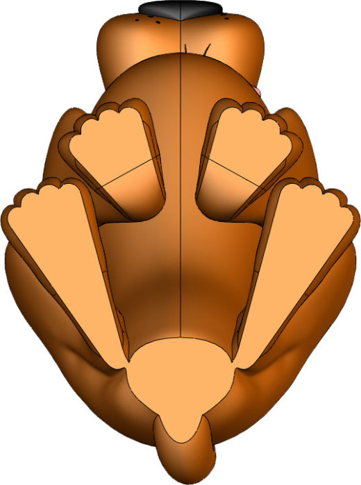 史努比玩具模型solidworks原文件缩略图