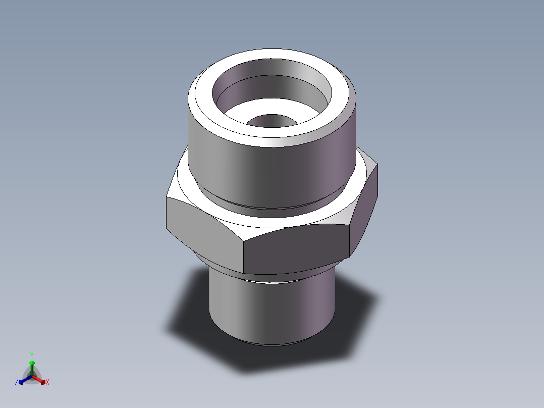 公制螺纹ED密封、1DM-24-18WD非标正等轴测图