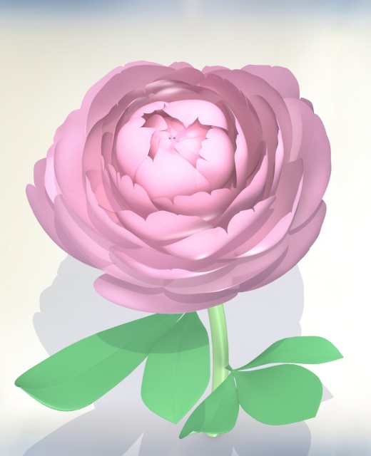 牡丹花缩略图
