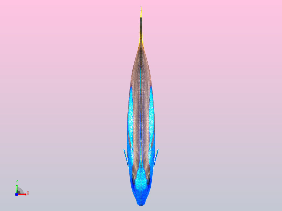 蓝色的鱼前视图