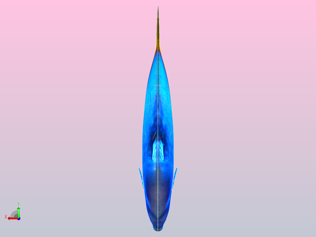 蓝色的鱼后视图