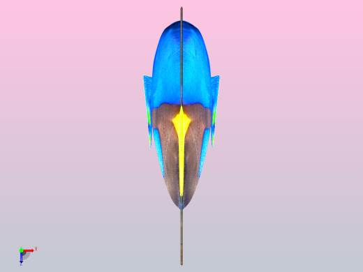 蓝色的鱼俯视缩略图