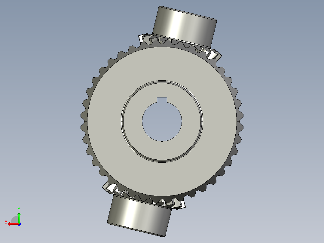 直齿伞齿轮后视图