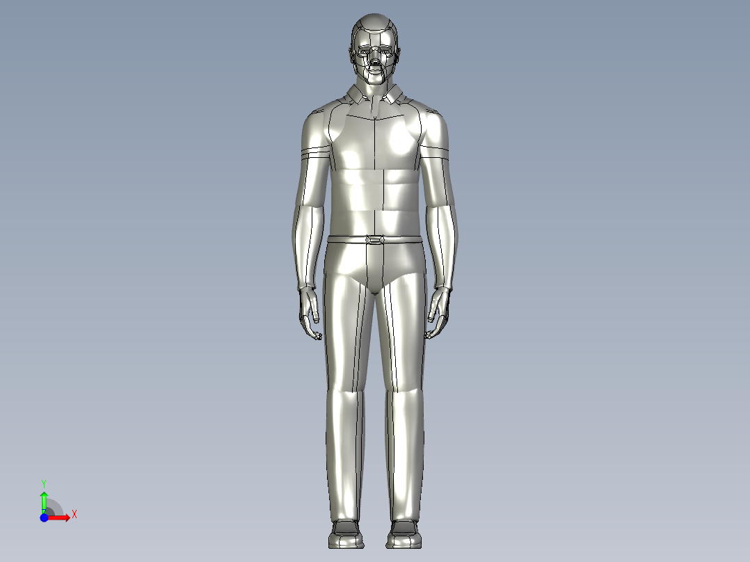 人体模型(28)前视图