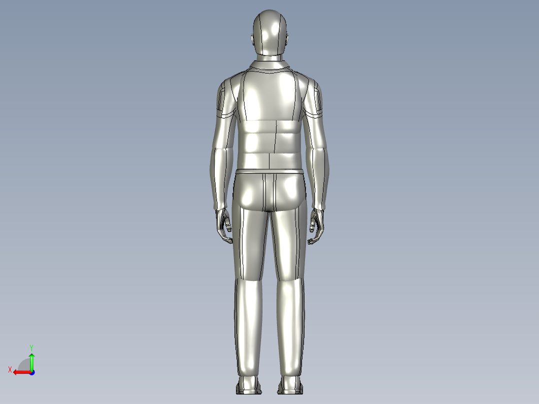 人体模型(28)后视图