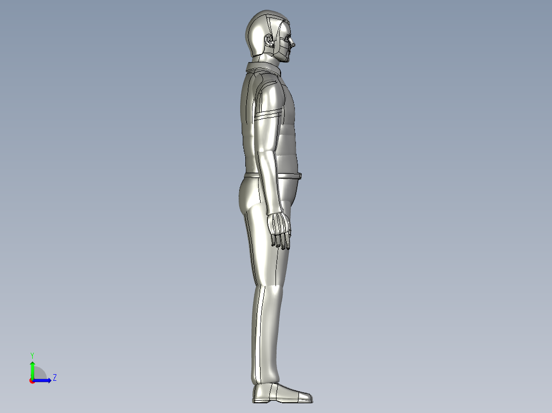 人体模型(28)左视图