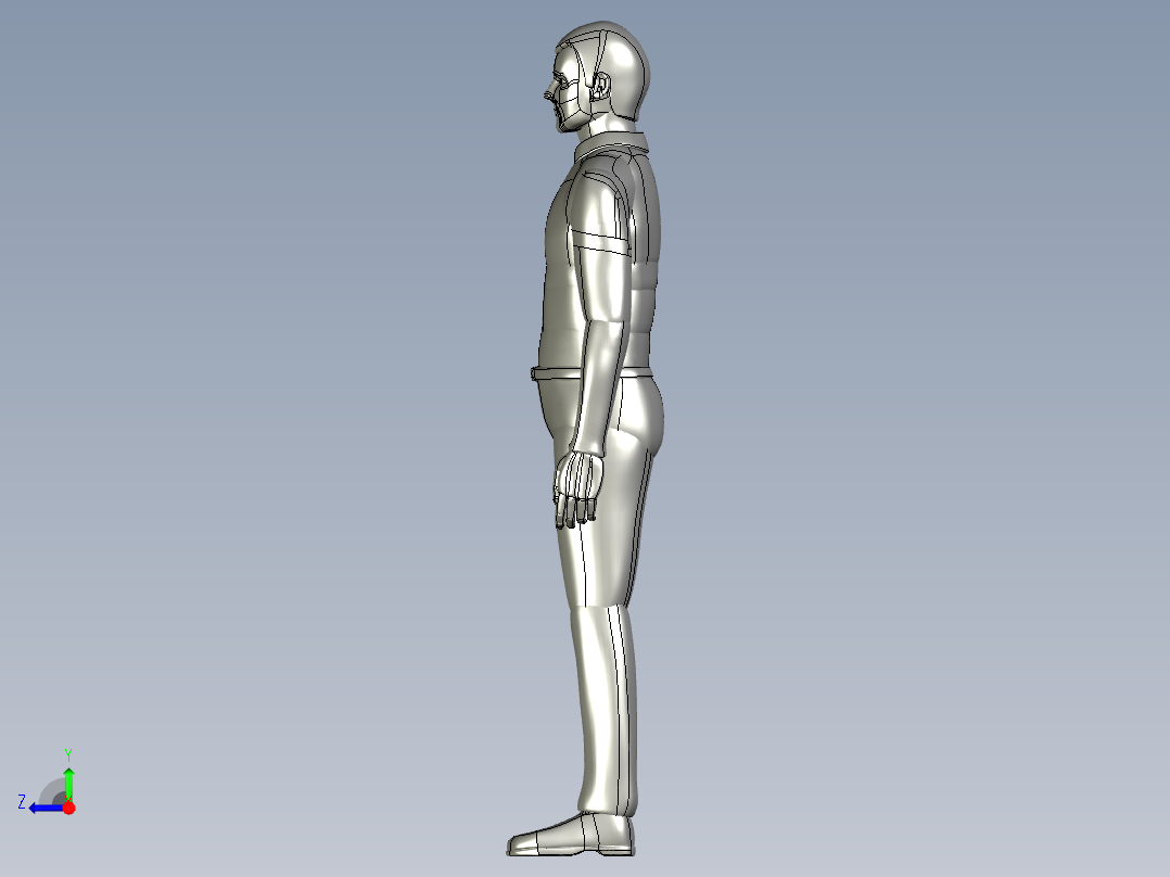 人体模型(28)右视图