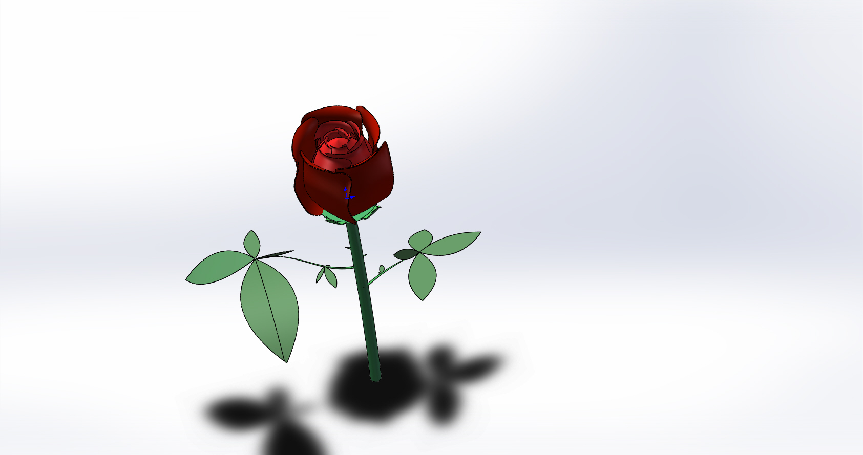 玫瑰花