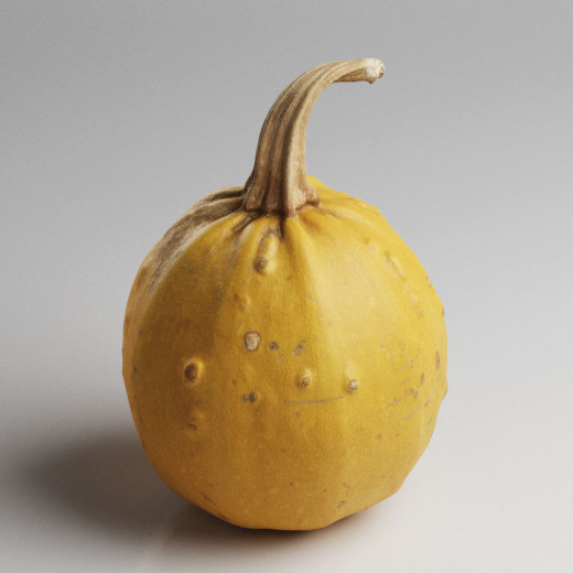 1_051Pumpkin_01_4K水果蔬菜面包坚果缩略图