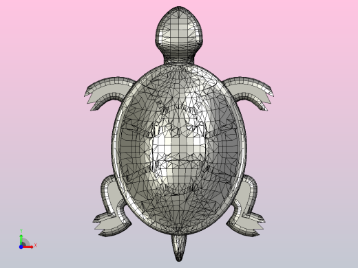 小乌龟前视缩略图