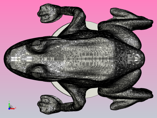 青蛙前视缩略图