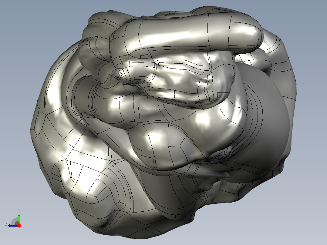 人体模型(118)右视图