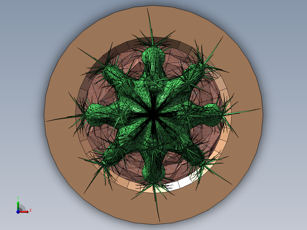 仙人球盆栽前视图