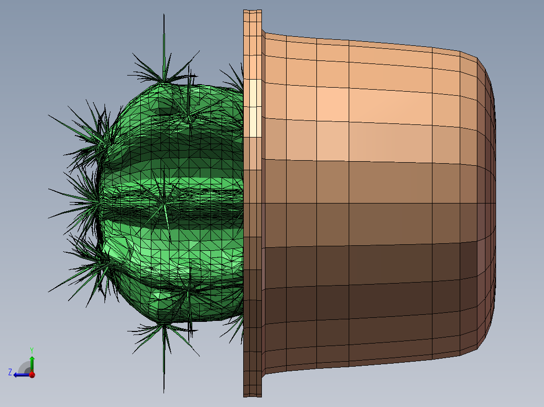 仙人球盆栽右视图