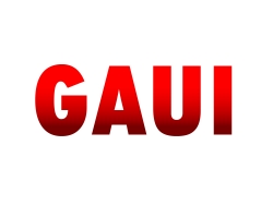 Gaui四角直升机