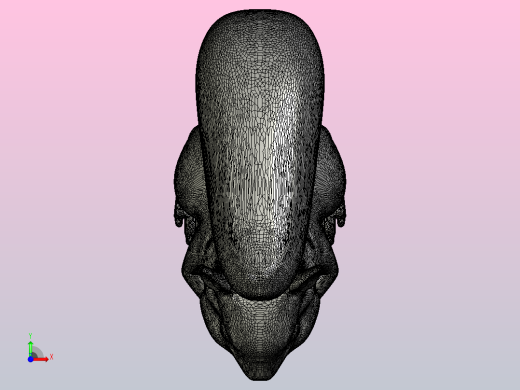 小松鼠前视缩略图