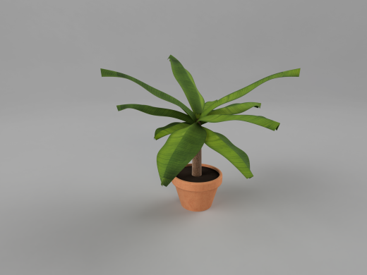 芭蕉植物缩略图