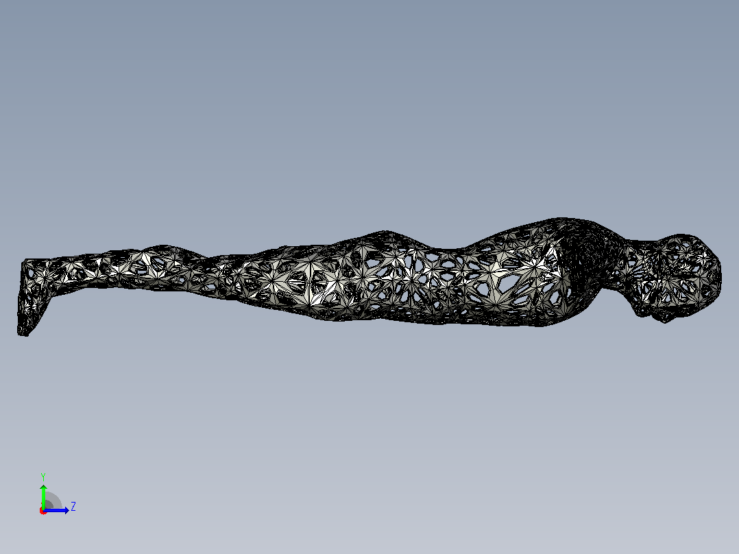 带网人体左视图