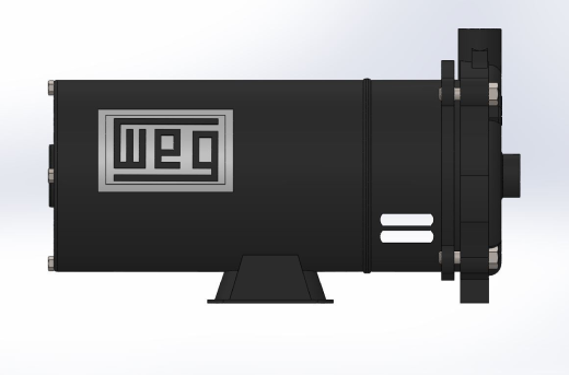 离心泵 weg - somar 220 V缩略图