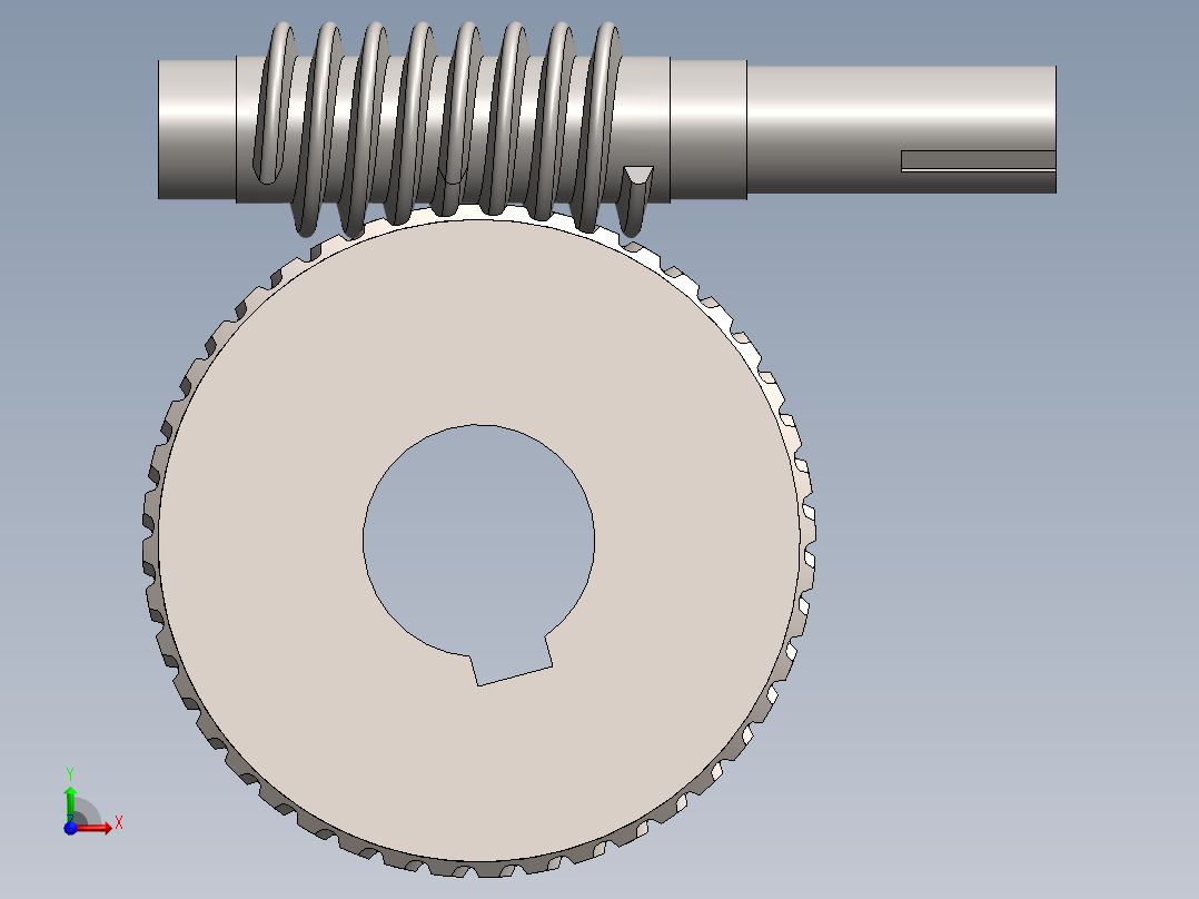 蜗轮总成前视图