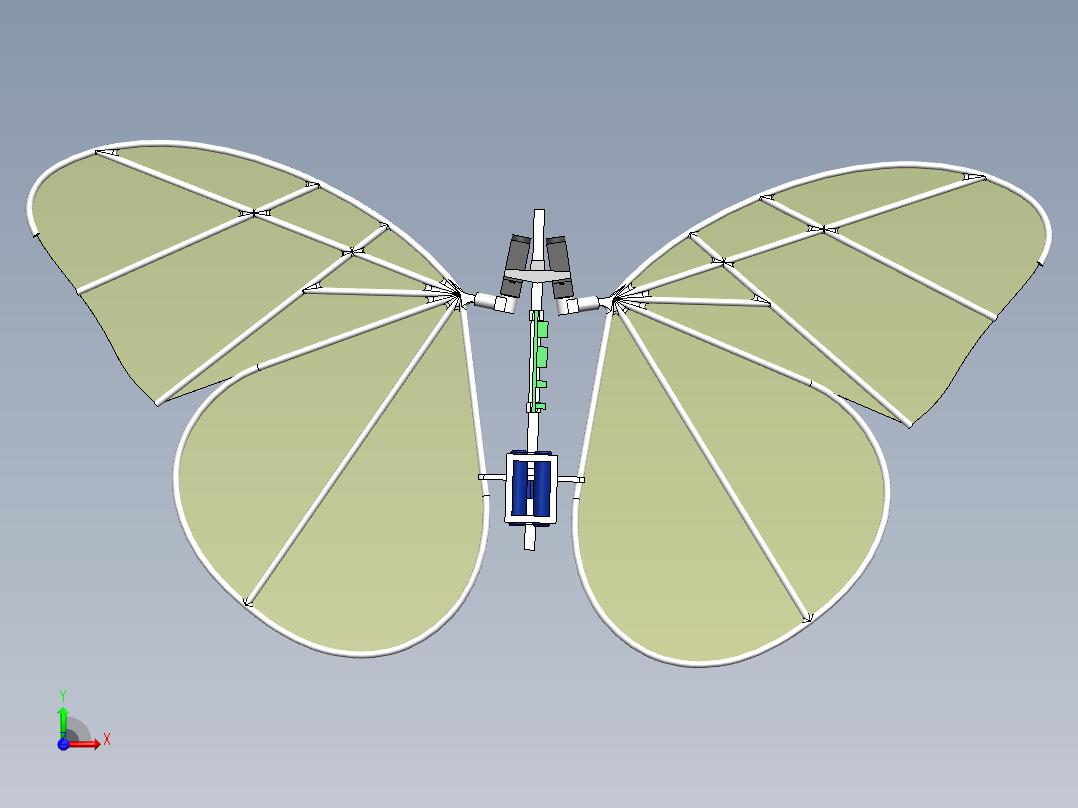 仿生蝴蝶前视图