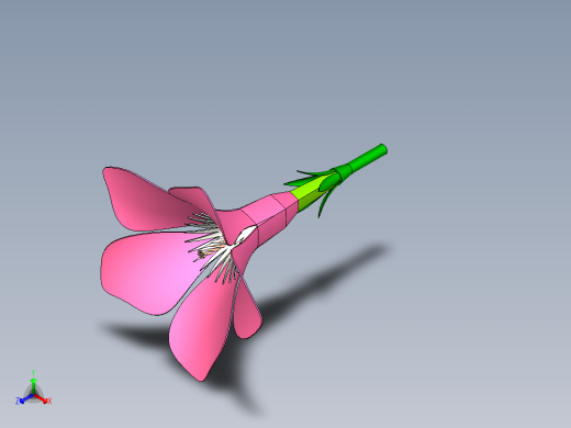 粉色的花儿模型