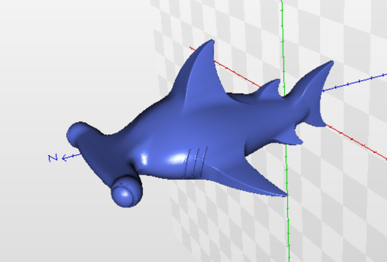 海洋生物鱼类HammerHead