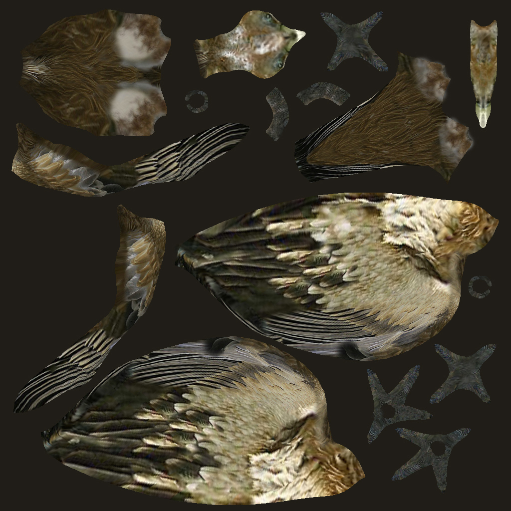 金色的秃鹰