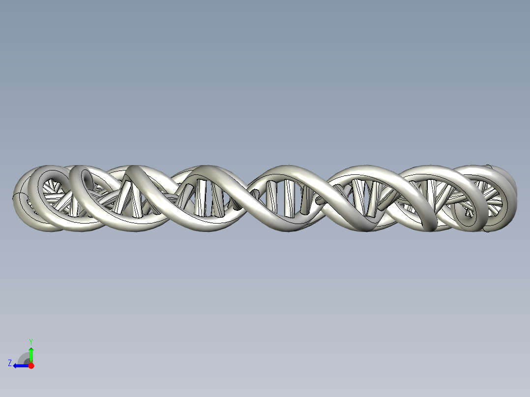 双螺旋DNA莫比乌斯手镯右视图