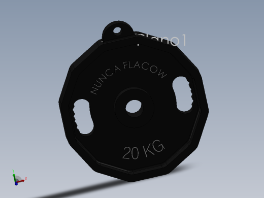 健身板 20 公斤钥匙扣