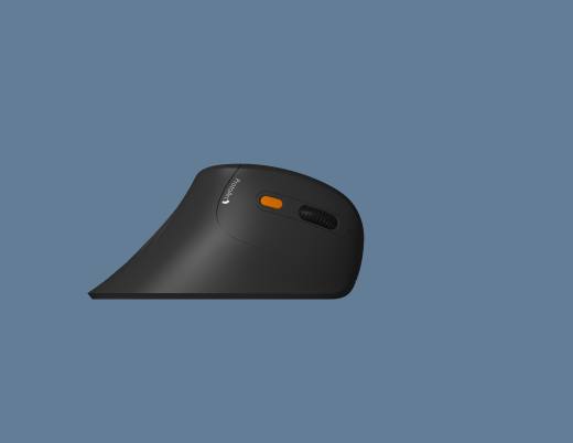 原始EM11 NL模型近似缩略图
