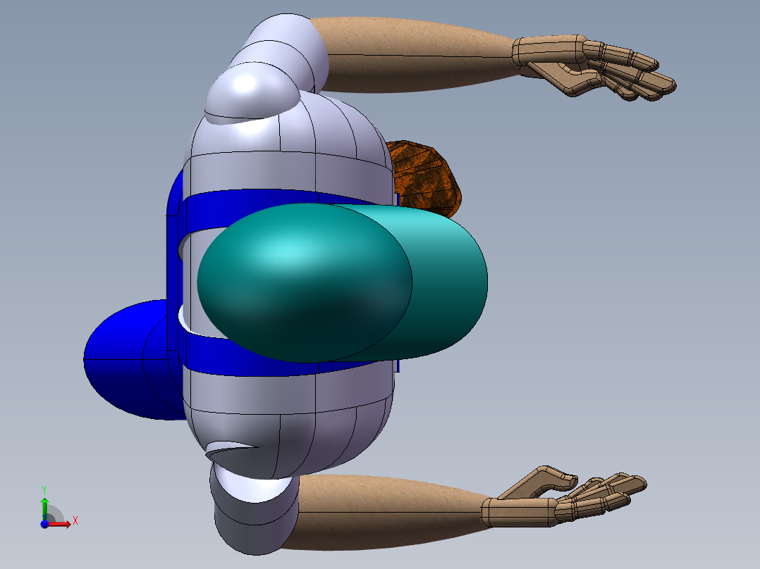 人体模型(43)前视图