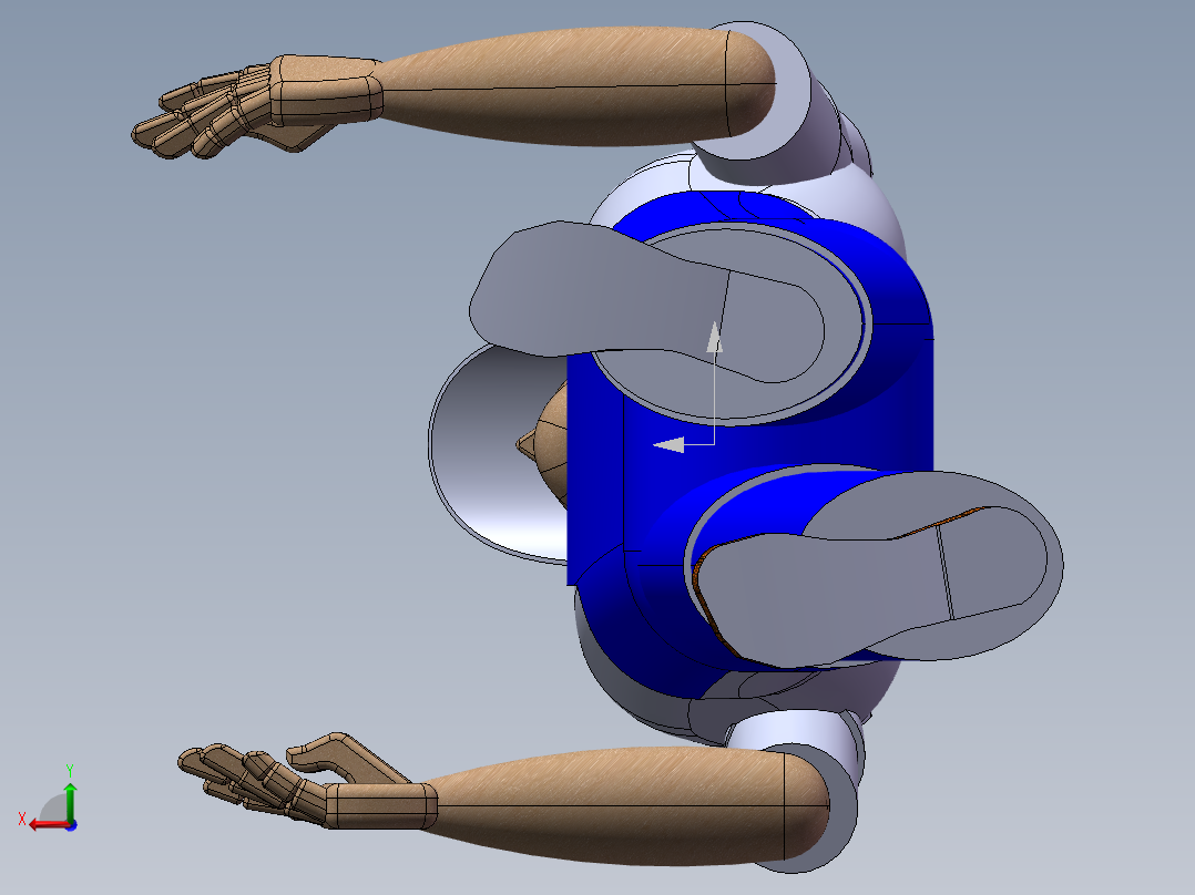 人体模型(43)后视图