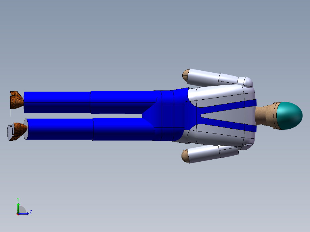 人体模型(43)左视图